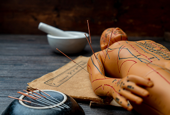 Acupuncture dummy model